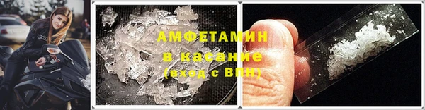 прущие грибы Бородино