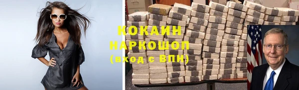 прущие грибы Бородино