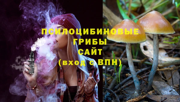 прущие грибы Бородино