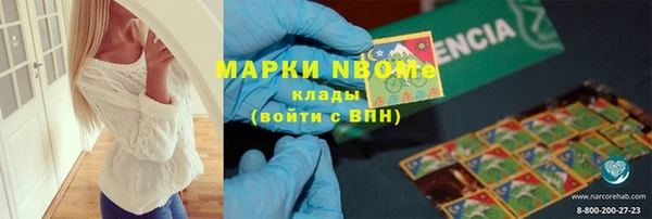 прущие грибы Бородино