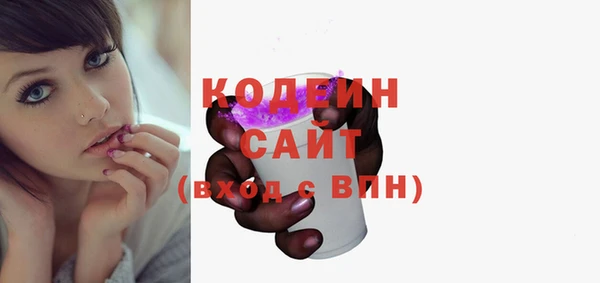 прущие грибы Бородино