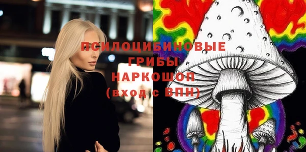 прущие грибы Бородино