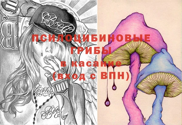 прущие грибы Бородино