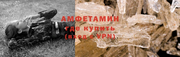 прущие грибы Бородино