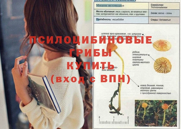 первитин Бронницы